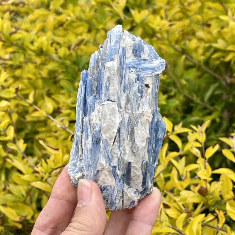 Radiant Blue Kyanite with Quartz Specimen – 302g