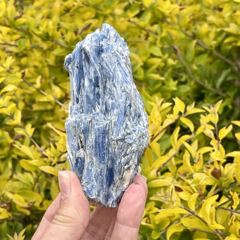 This is Radiant Blue Kyanite with Quartz Specimen - 302g