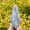 This is Radiant Blue Kyanite with Quartz Specimen - 302g