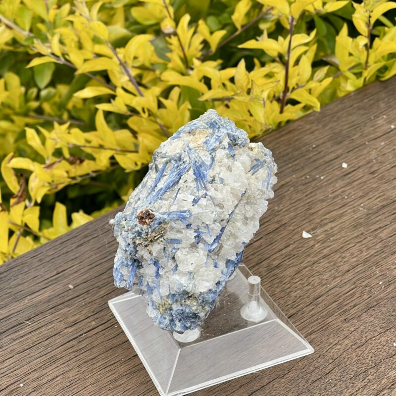 This is Empowering Blue Kyanite with Quartz Specimen - 563g