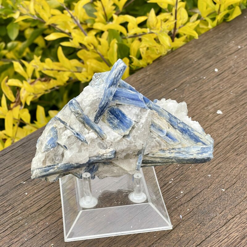 This is Balancing Blue Kyanite with Quartz Specimen - 466g