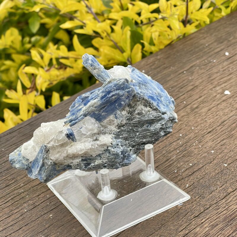 This is Balancing Blue Kyanite with Quartz Specimen - 466g