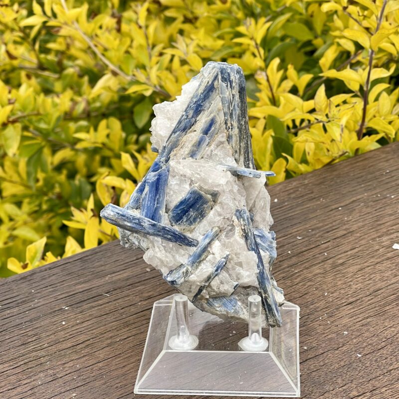 This is Balancing Blue Kyanite with Quartz Specimen - 466g