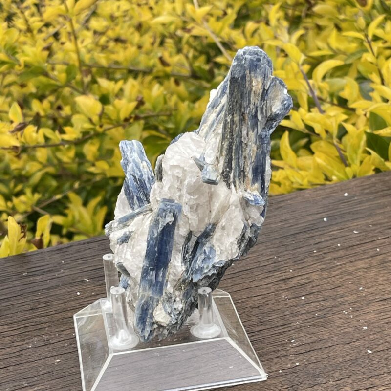 This is Balancing Blue Kyanite with Quartz Specimen - 466g