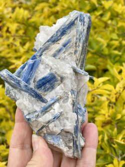 This is Balancing Blue Kyanite with Quartz Specimen - 466g