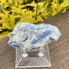 This is Soothing Blue Kyanite with Quartz Specimen - 256g