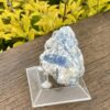 This is Soothing Blue Kyanite with Quartz Specimen - 256g