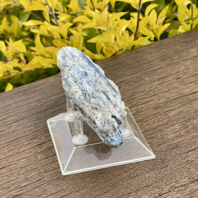 This is Soothing Blue Kyanite with Quartz Specimen - 256g