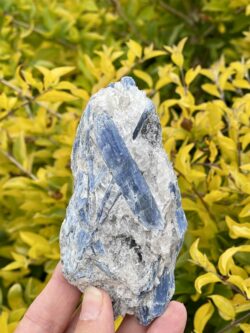 This is Soothing Blue Kyanite with Quartz Specimen - 256g