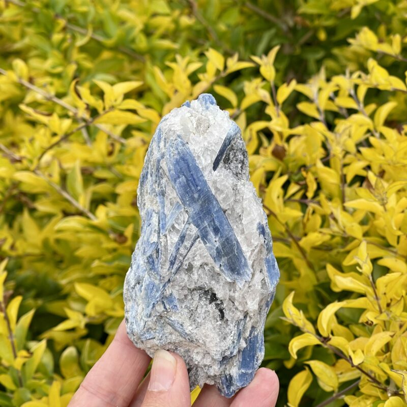 This is Soothing Blue Kyanite with Quartz Specimen - 256g