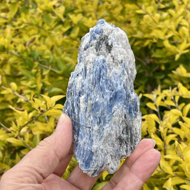 This is Soothing Blue Kyanite with Quartz Specimen - 256g