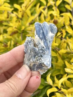 This is Charming Blue Kyanite with Quartz Specimen - 38g