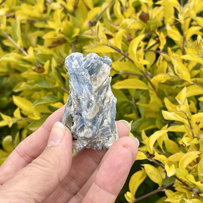 This is Charming Blue Kyanite with Quartz Specimen - 38g