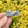 This is Charming Blue Kyanite with Quartz Specimen - 38g