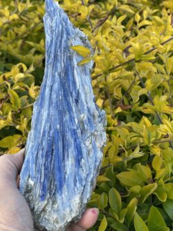 This is Spectacular Blue Kyanite with Mica Specimen - 1kg