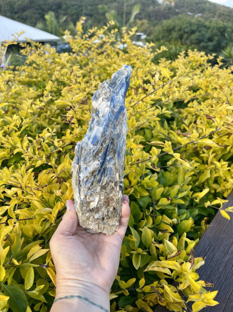 This is Spectacular Blue Kyanite with Mica Specimen - 1kg