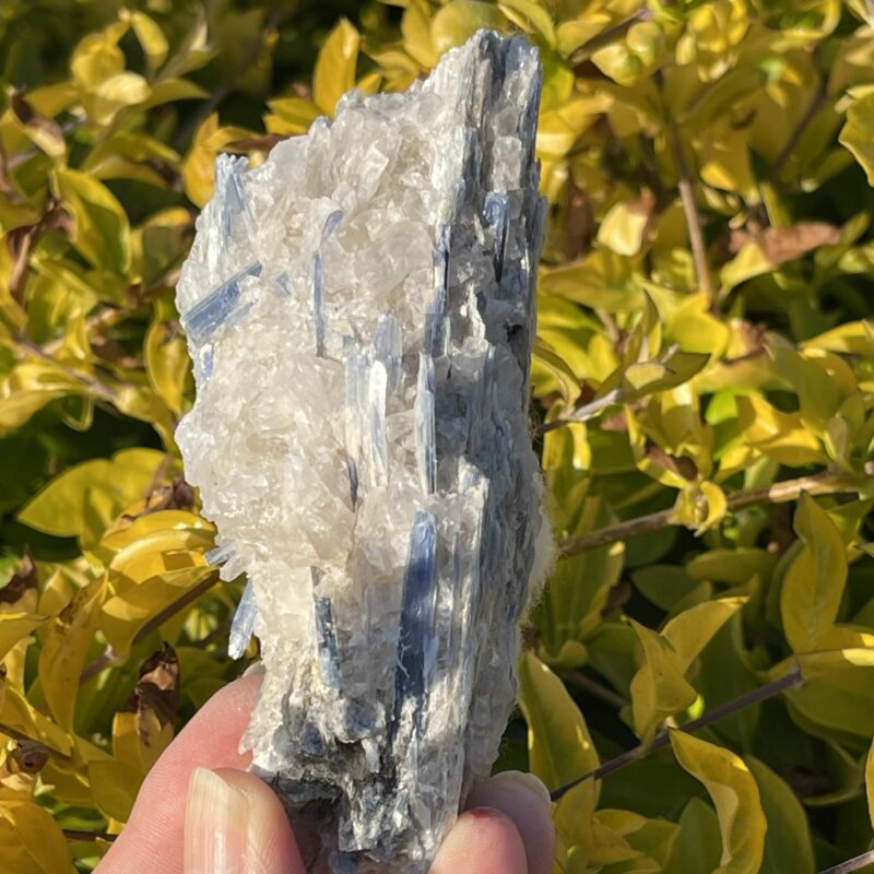 This is Gentle Blue Kyanite with Quartz Specimen - 200g