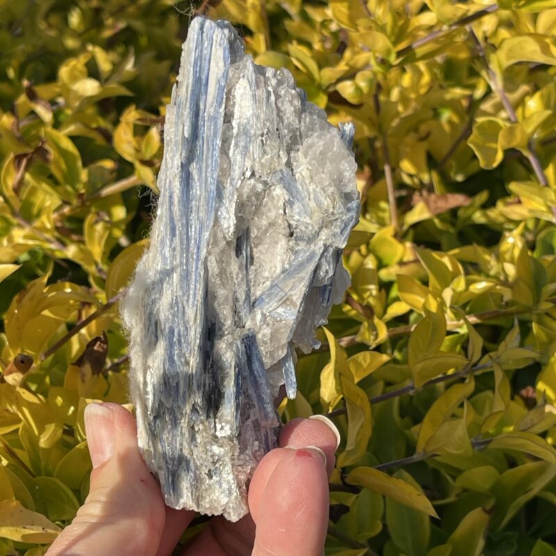 This is Gentle Blue Kyanite with Quartz Specimen - 200g