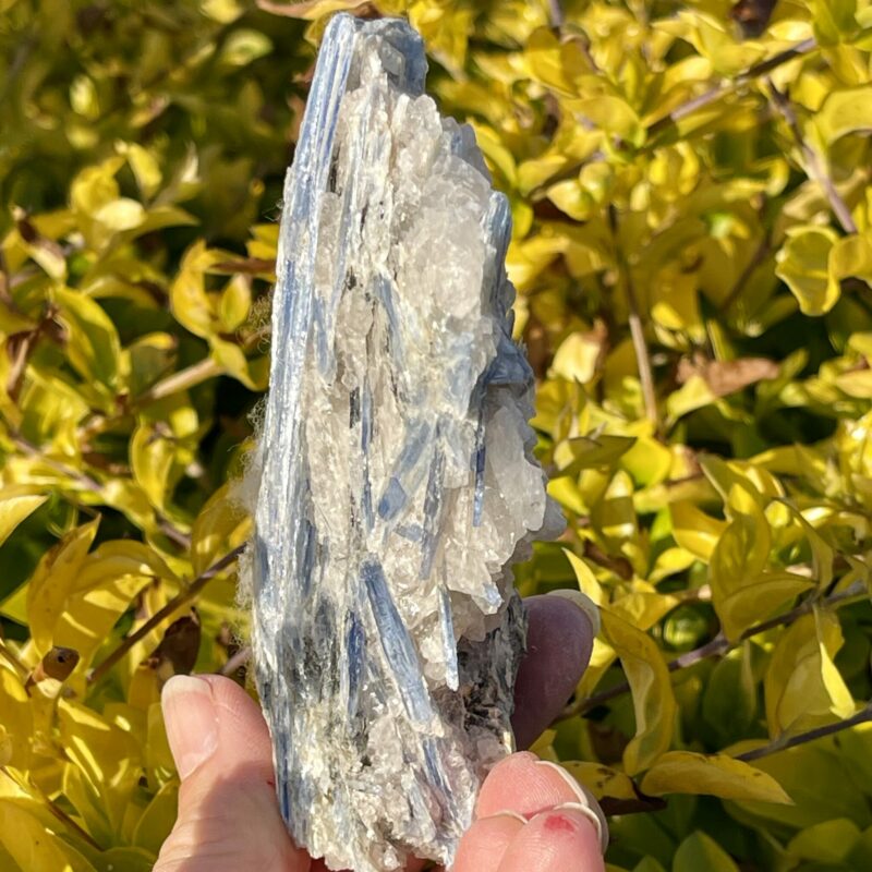 This is Gentle Blue Kyanite with Quartz Specimen - 200g