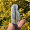 This is Tranquil Blue Kyanite Specimen - 63g