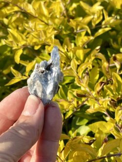 This is Charming Blue Kyanite with Garnet Specimen - 21g