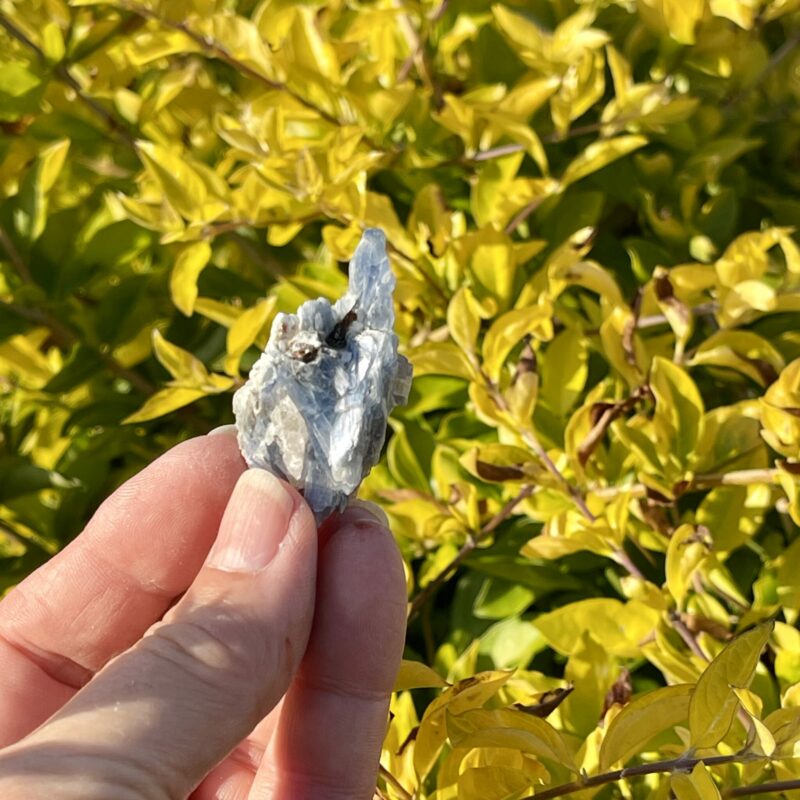 This is Charming Blue Kyanite with Garnet Specimen - 21g