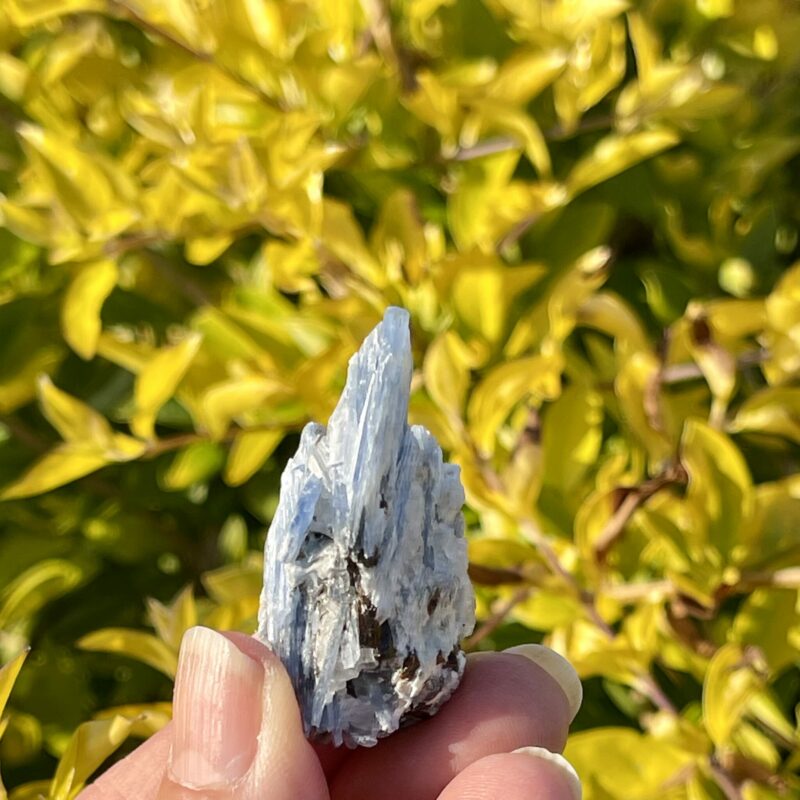 This is Charming Blue Kyanite with Garnet Specimen - 21g