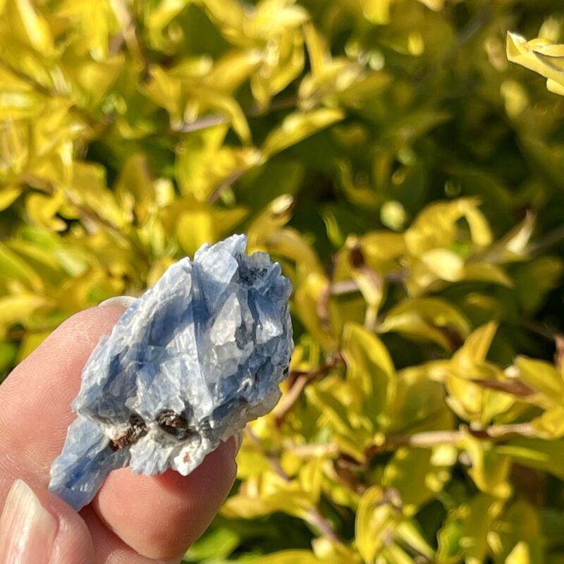 This is Charming Blue Kyanite with Garnet Specimen - 21g