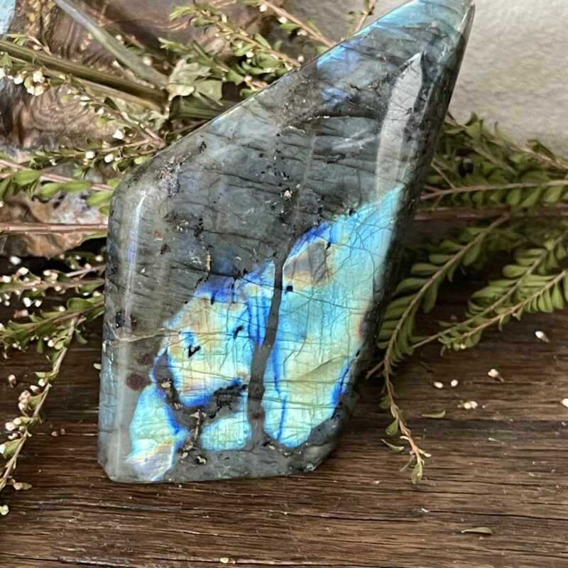 This is Enchanted Labradorite Freeform - 363g