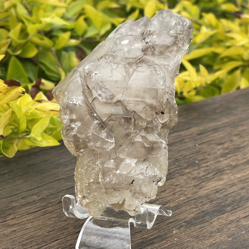 Divine Smoky Elestial Crystal - 362g