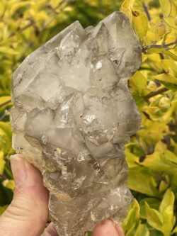 Divine Smoky Elestial Crystal - 362g