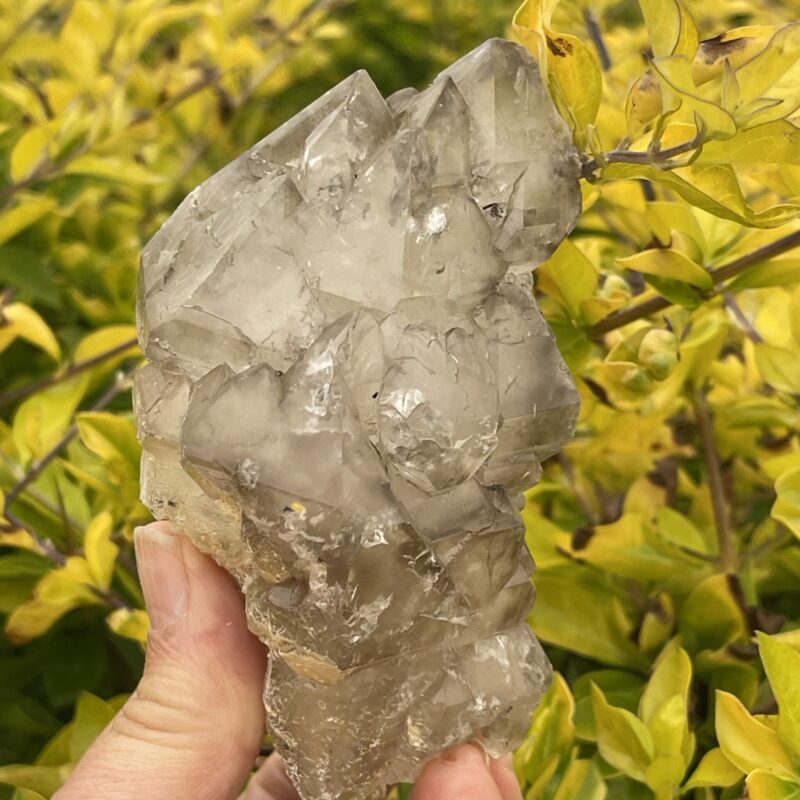 Divine Smoky Elestial Crystal - 362g