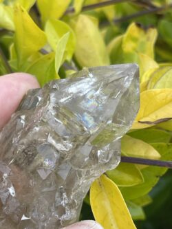 This is Pure Smoky Elestial Clear Crystal - 69g