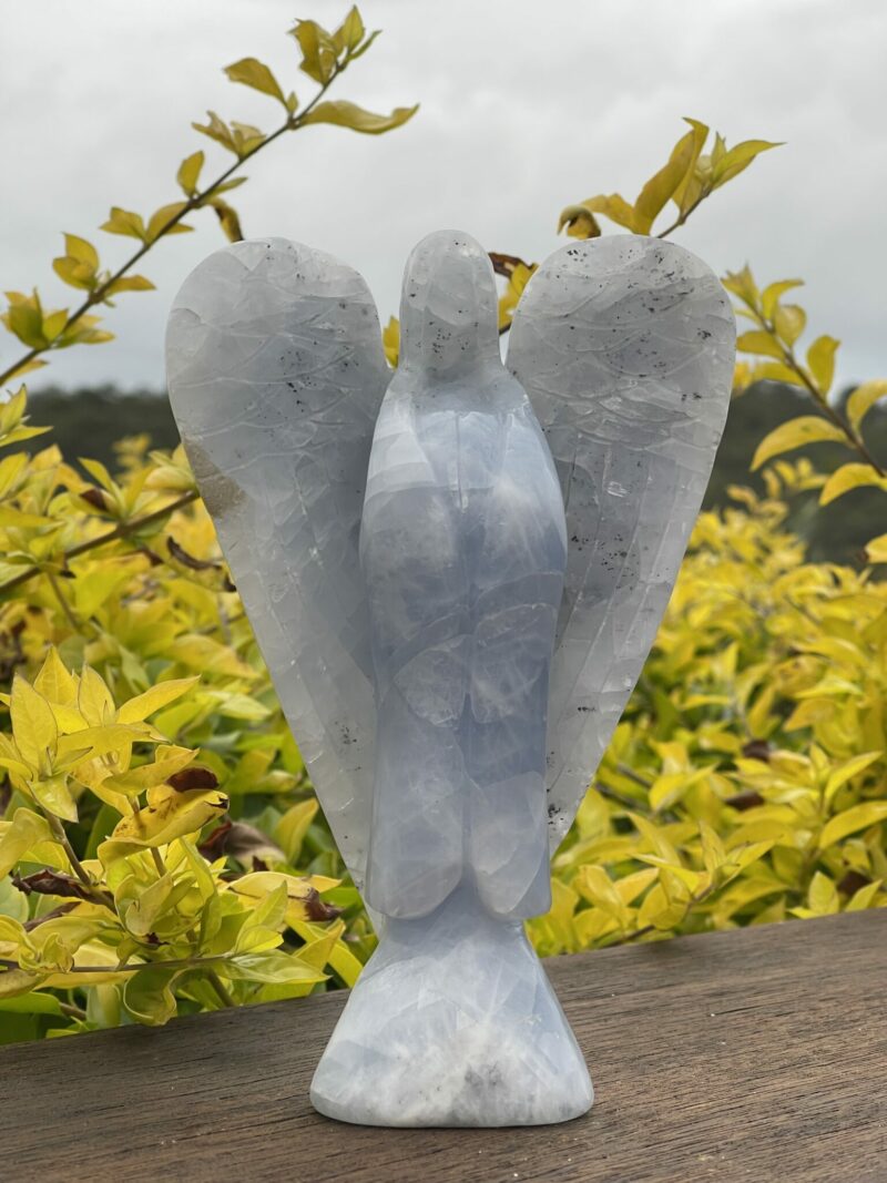 This is Absolutely Peaceful Blue Celestite Angel - 740g