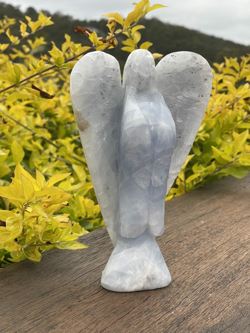 This is Absolutely Peaceful Blue Celestite Angel - 740g