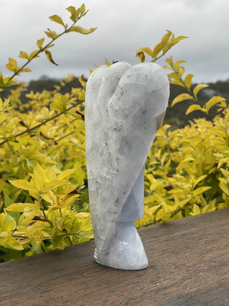 This is Absolutely Peaceful Blue Celestite Angel - 740g