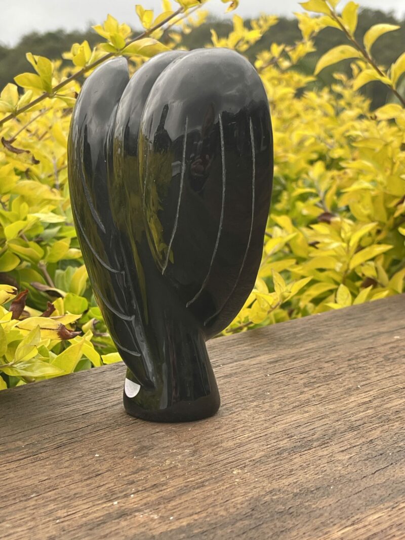 This is Protective Black Obsidian Angel - 700g