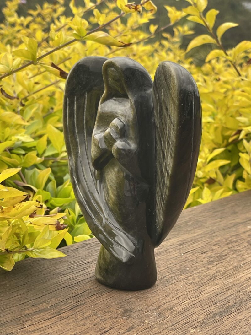 This is Protective Black Obsidian Angel - 700g