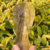 This is Illuminating Gold Fluorite Angel - 260g