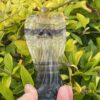 This is Soothing Rainbow Fluorite Angel - 266g