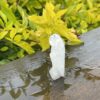 This is Pure Clear Quartz Angel of Light - 5cm