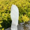 This is Absolutely Angelic Clear Quartz Angel of Light - 17.5cm