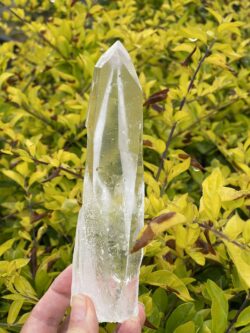 This is Super Clear Lemurian Quartz Crystal Point – 398g