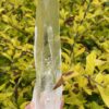 This is Super Clear Lemurian Quartz Crystal Point – 398g