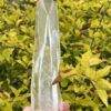 This is Super Clear Lemurian Quartz Crystal Point – 398g