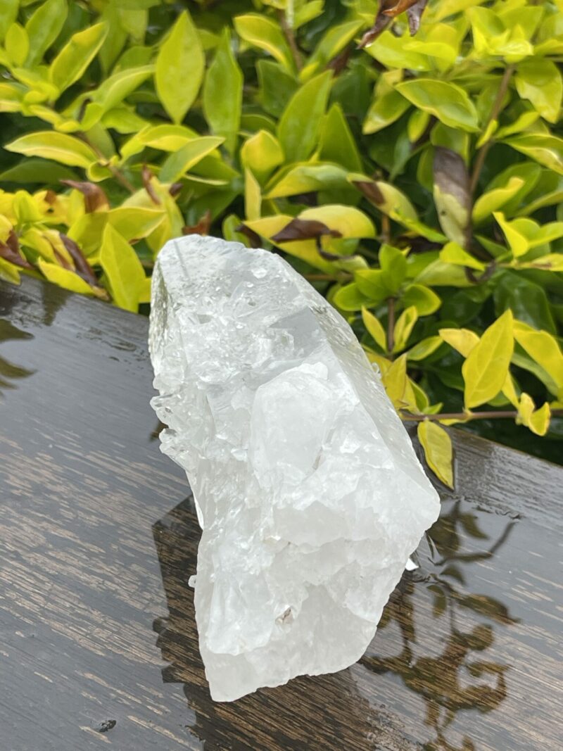 This is Barnacle Clear Quartz Point of Collective Strength - 455g