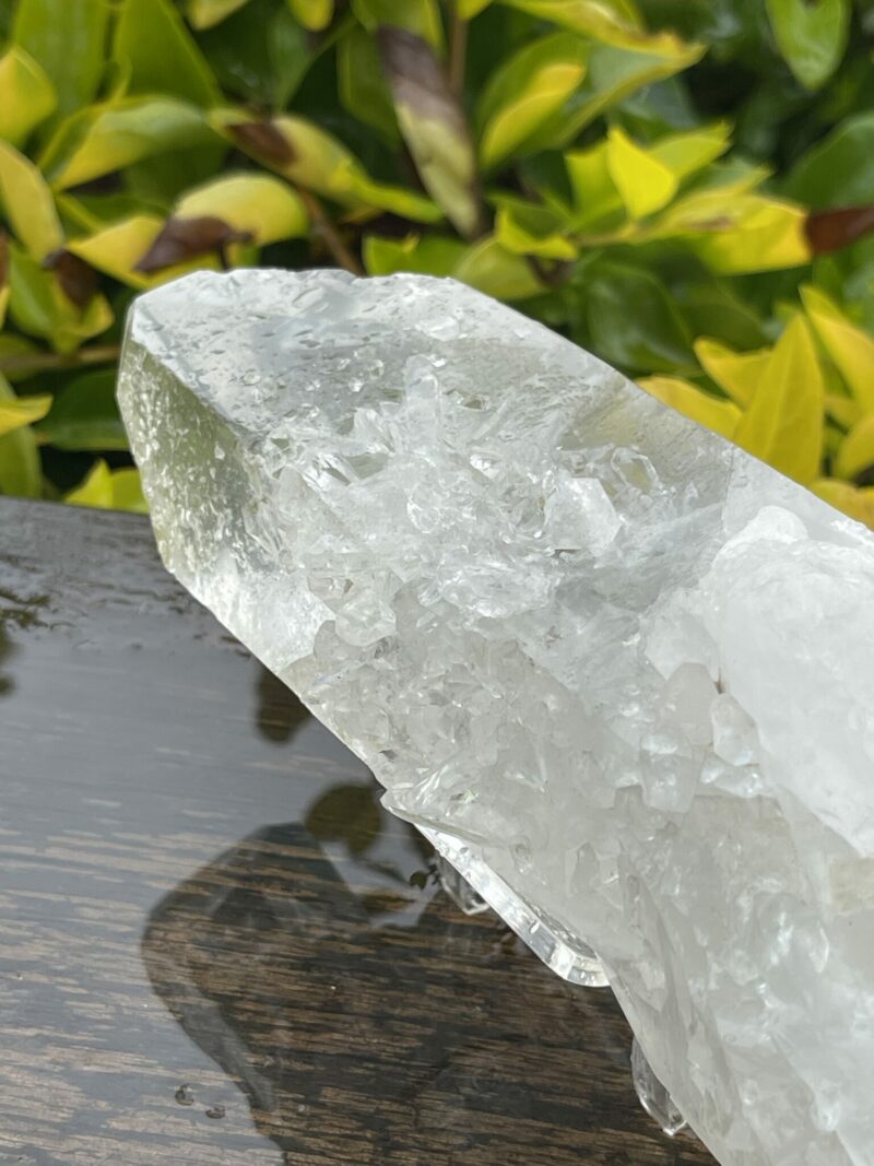 This is Barnacle Clear Quartz Point of Collective Strength - 455g