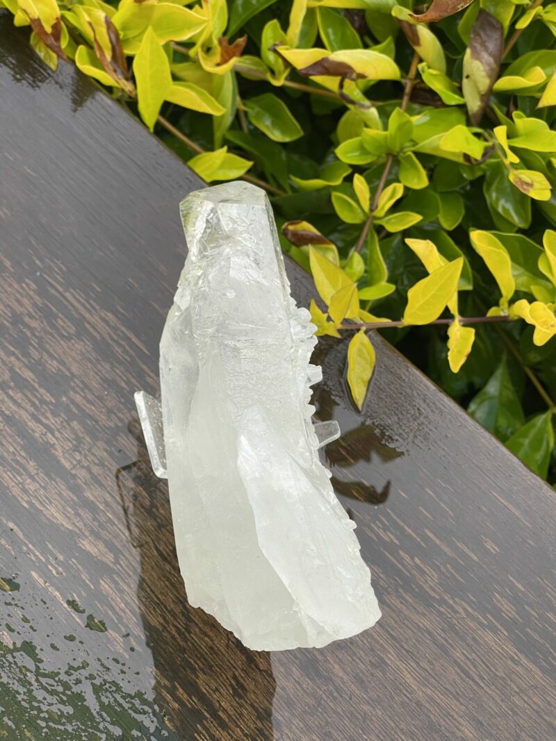 This is Barnacle Clear Quartz Point of Collective Strength - 455g