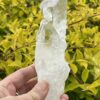 This is Barnacle Clear Quartz Point of Collective Strength - 455g