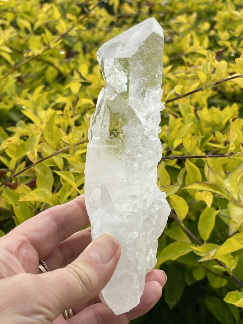 This is Barnacle Clear Quartz Point of Collective Strength - 455g